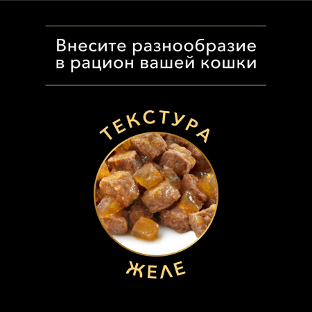 Влажный корм Adult Nutri Savour для взрослых кошек, кусочки с индейкой в желе 85 г