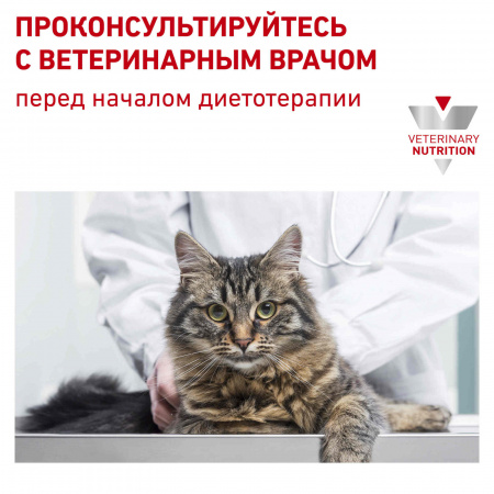 Для кошек с пищевой аллергией 500 г