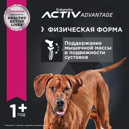 Для взрослых собак крупных пород, с птицей 3 кг