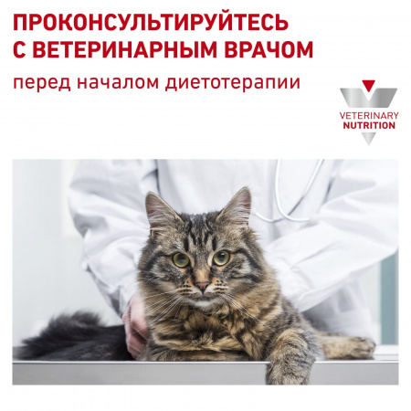 Для кошек при дерматозах и выпадении шерсти, 400 г