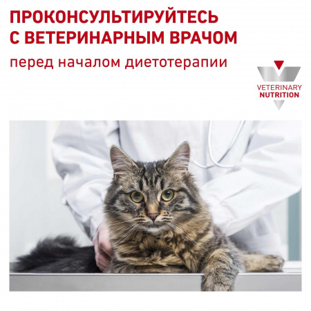Для кошек "Лечение ЖКТ" 400 г
