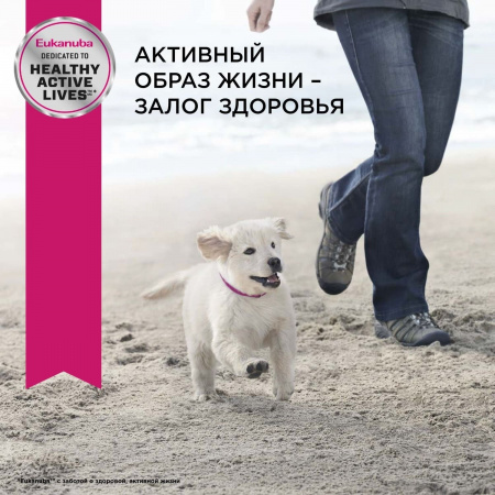 Для щенков средних пород, с птицей 3 кг