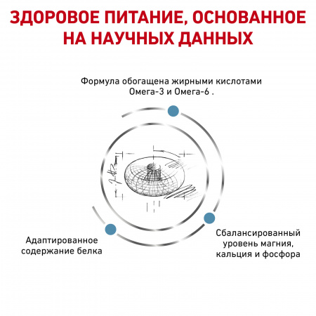 Для кошек при дерматозах и выпадении шерсти, 400 г