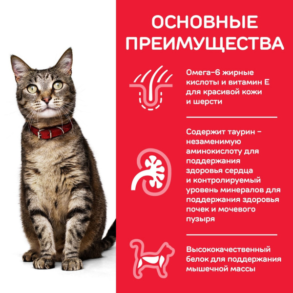Сухой корм для взрослых кошек для поддержания жизненной энергии и иммунитета, с тунцом 300 г
