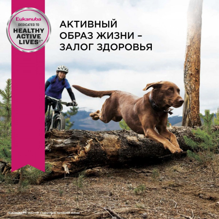 Для взрослых собак крупных пород, с птицей 3 кг