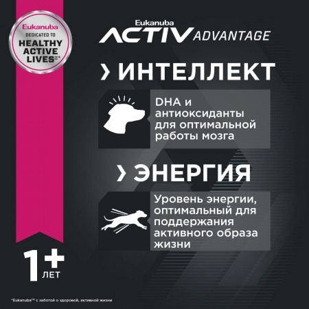 Для взрослых собак крупных пород, с птицей 3 кг
