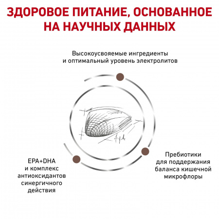Для кошек "Лечение ЖКТ" 400 г