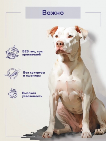 B&S CARE ADULT M/L Сухой корм д/собак сред. и круп. пород (индейка/ягненок) 12кг, BS214