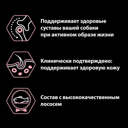 Для взрослых собак мелких и карликовых пород с чувствительной кожей, с высоким содержанием лосося 700 г