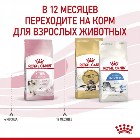 Royal Canin Kitten — сухой корм для котят 4–12 месяцев, 300 г
