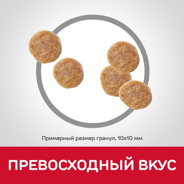 Сухой корм для взрослых кошек для поддержания жизненной энергии и иммунитета, с тунцом 300 г